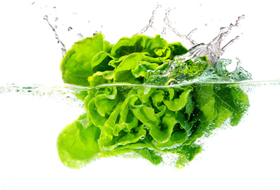 Washing Lettuce